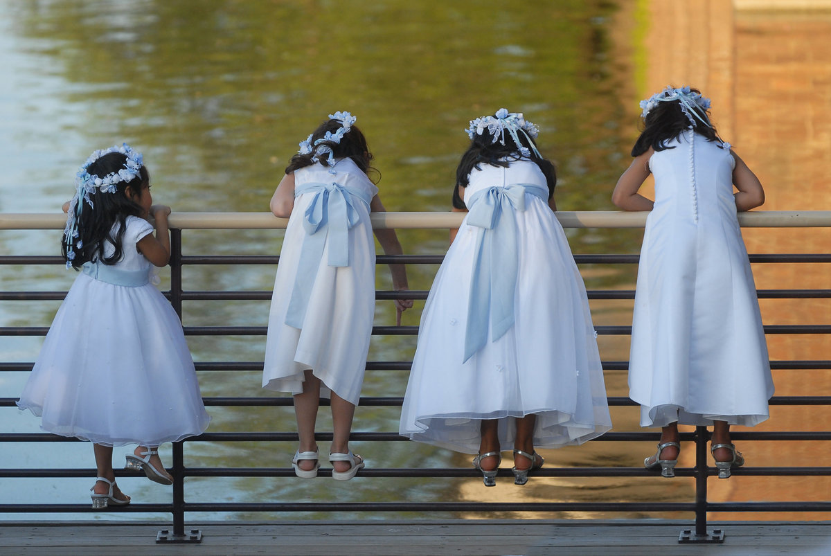 Four flower girls in white dresses climb a fence to peer at swimming fish in a pond