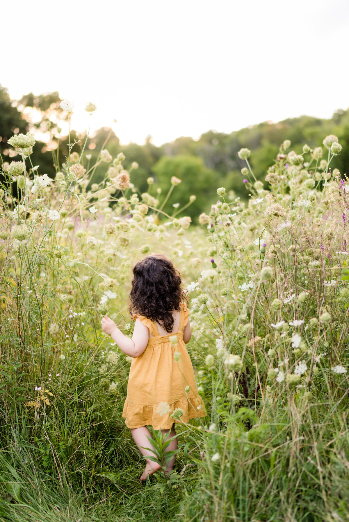 Boston-family-photographer-bella-wang-photography-Lifestyle-session-outdoor-wildflower-77