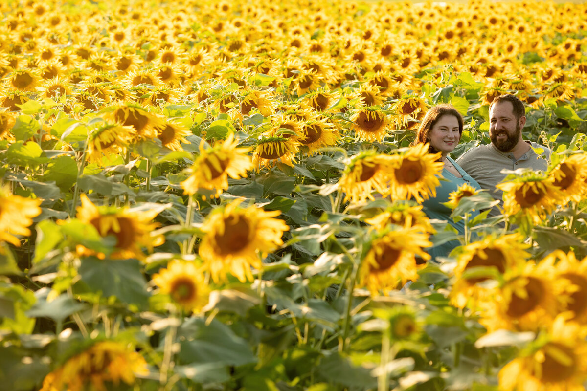 Woman with red hair and turquoise shirt stands with her husband with a beard in a field full of sunflowers photographer Sunflower Valley Farm mini-session Milestone Images
