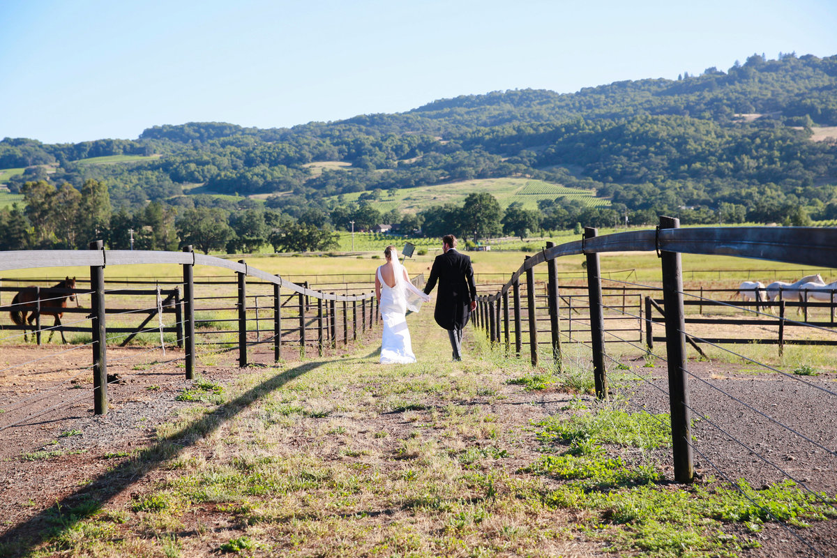 2023 Northern California Winery Wedding Inspiration Greer Rivera Wedding Photography Bay Area Wedding Photos Healdsburg Ranch, CA