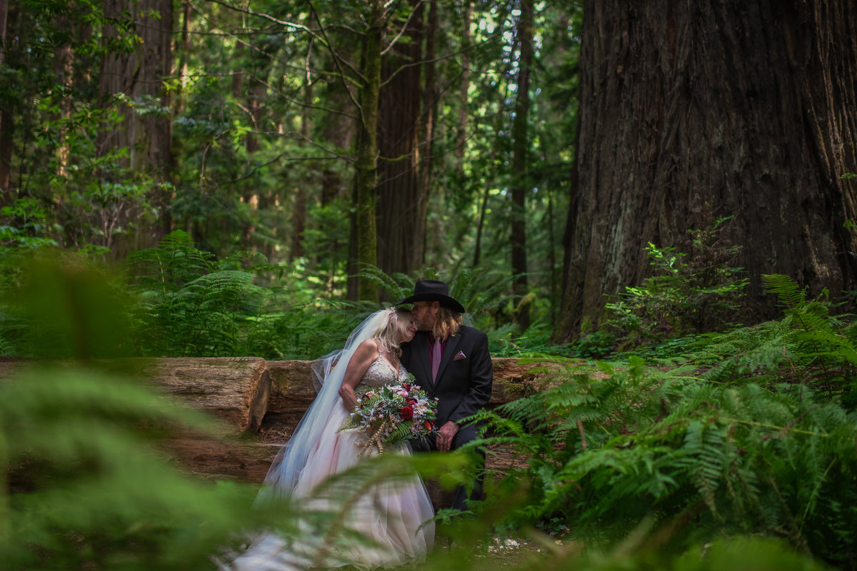 Redway-California-elopement-photographer-Parky's-Pics-Photography-redwoods-elopement-Avenue-of-the-Giants-Pepperwood-California-14.jpg