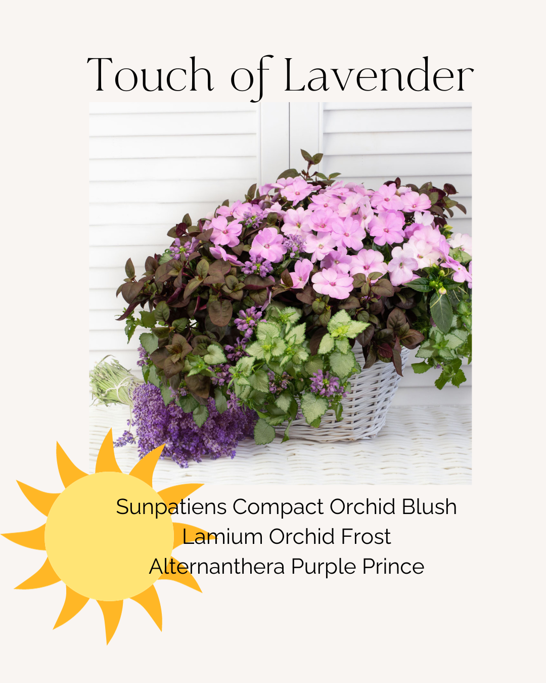 Touch of Lavender
