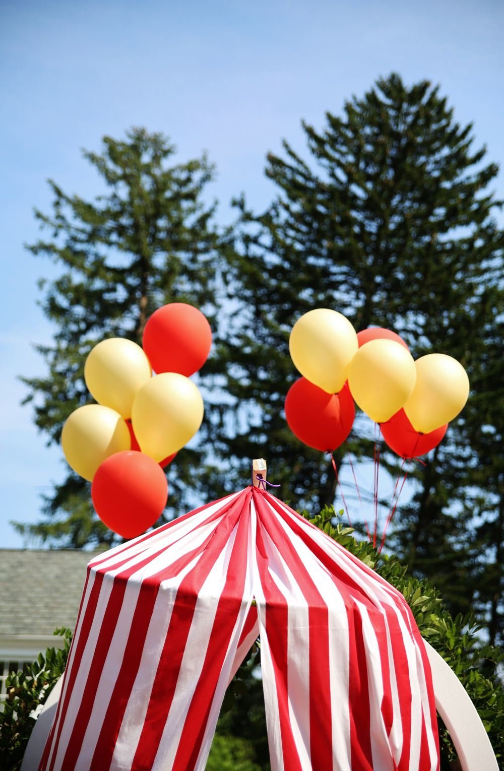 ct_party_planner_circus_birthday_0033