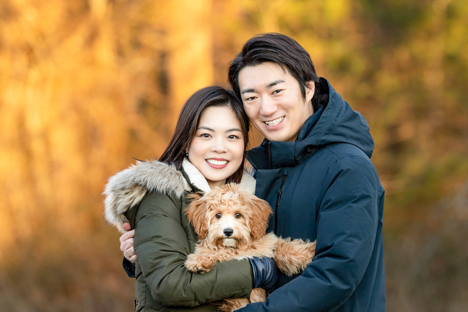 Golden Doodle puppy being held by his Boston parents in their winter coats with a beautiful golden background