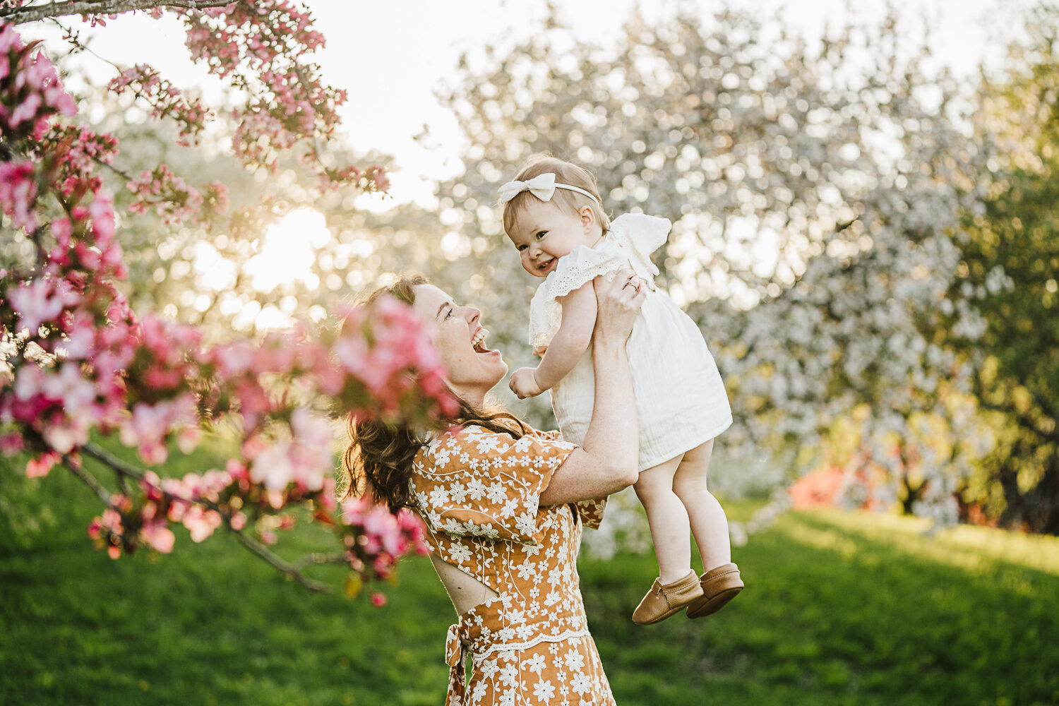 mom lifts toddler girl in air with tree blossoms in boston