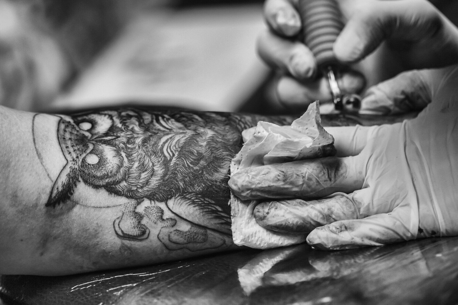 owl-g19057a3fc_1920
