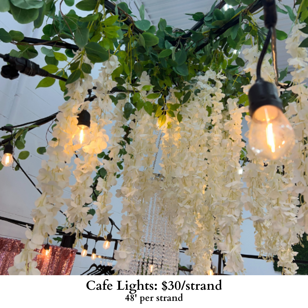 Cafe Lights-527
