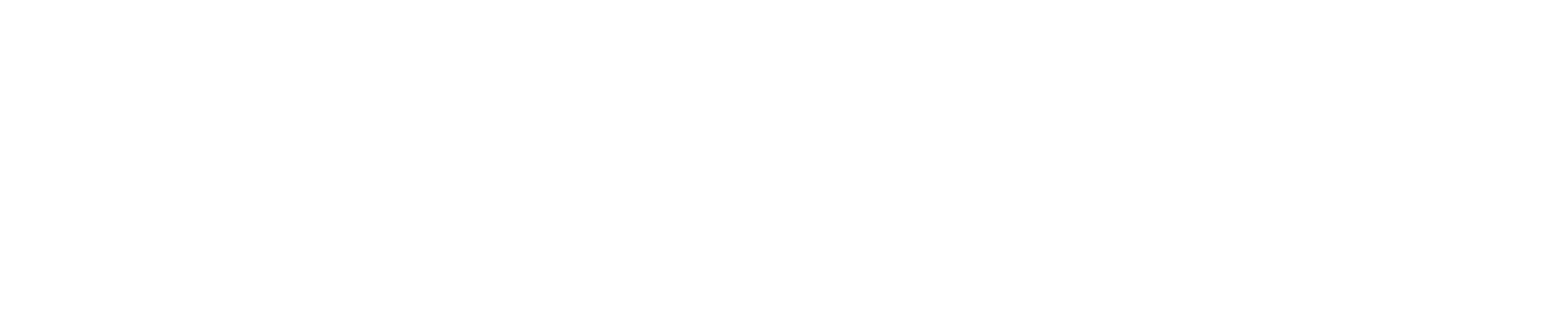 nyc-cultural-agenda-fund