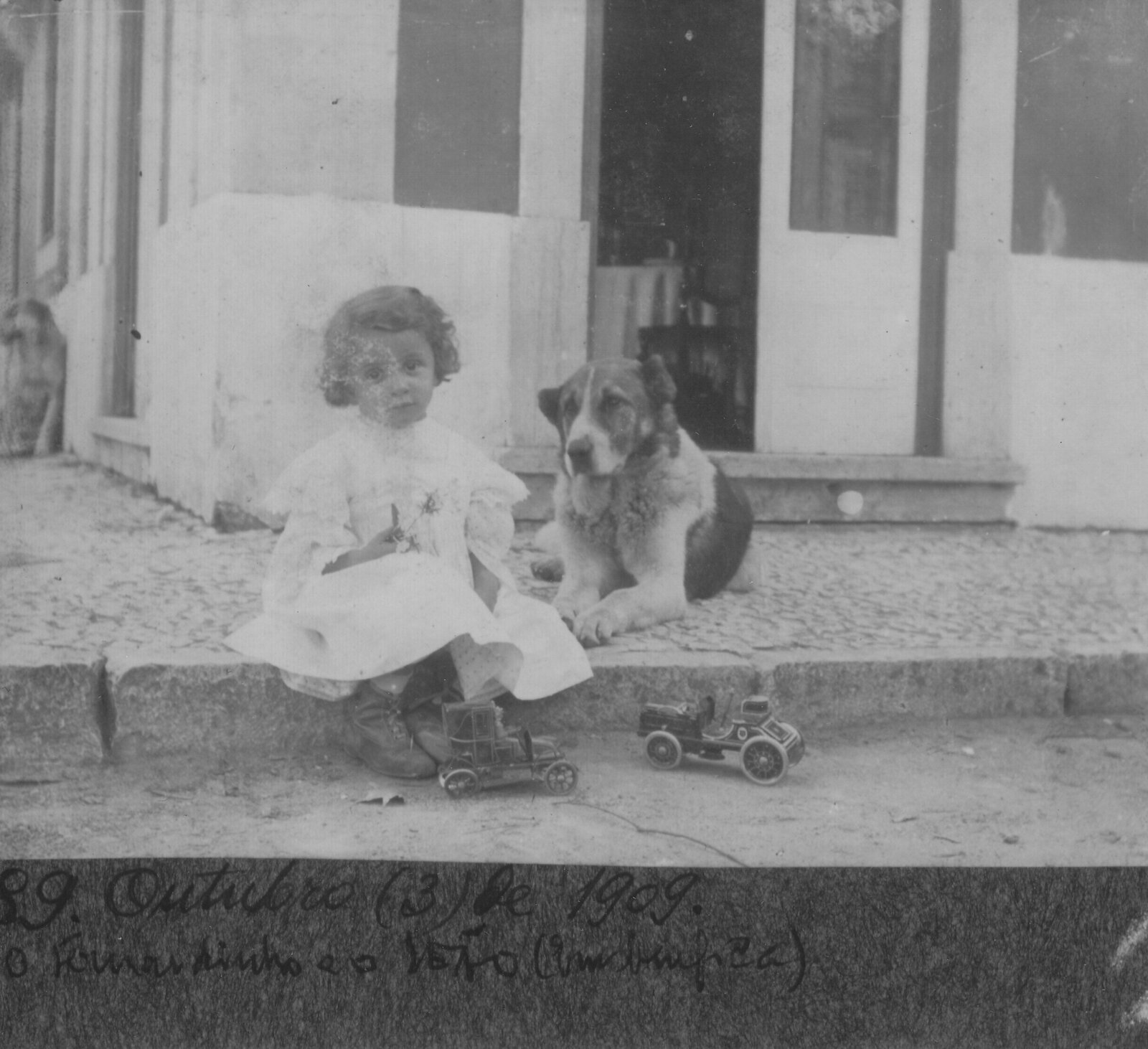 child sitting with a short haired Estrela Mountain Dog in 1909