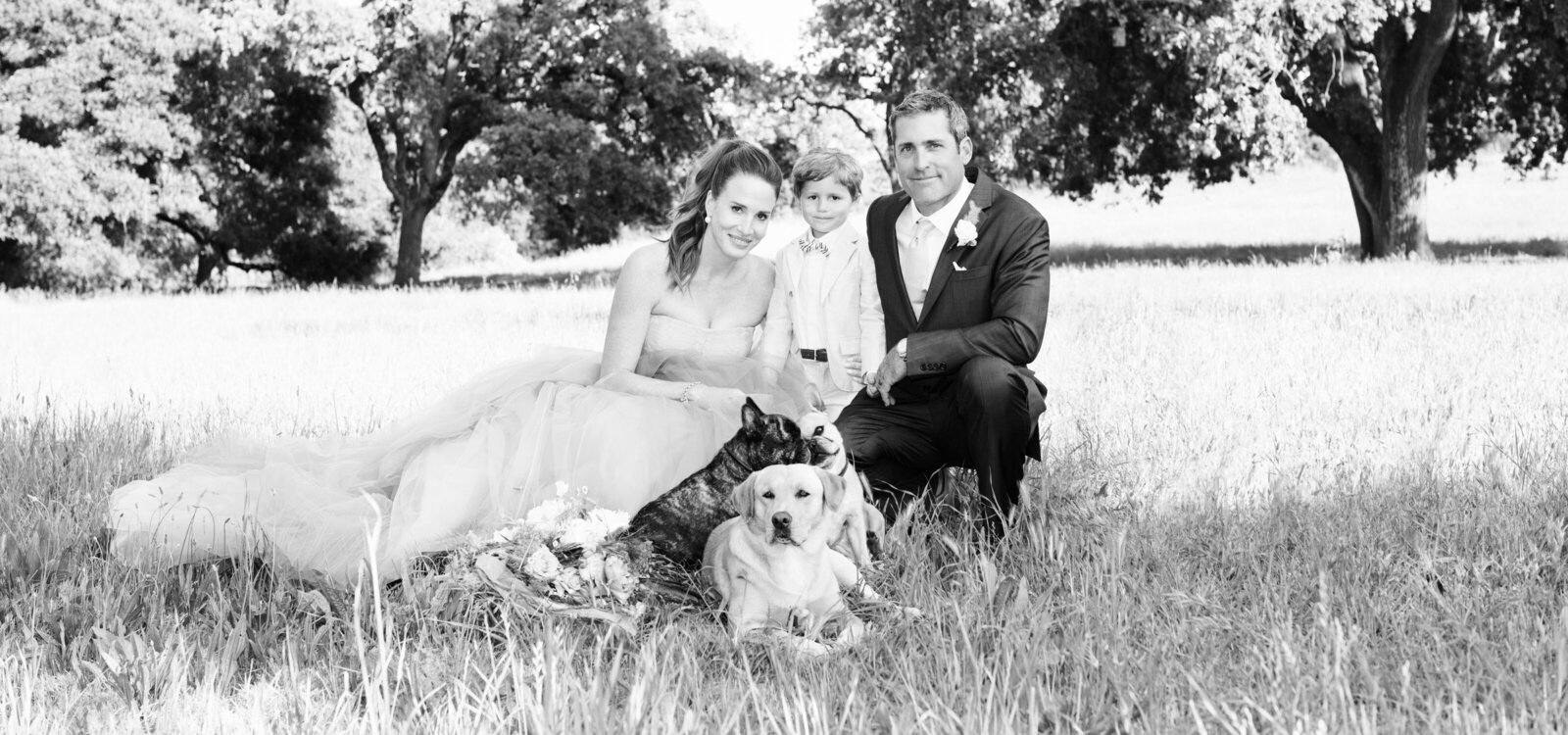 black and white newly married couple in a field with their son and three dogs