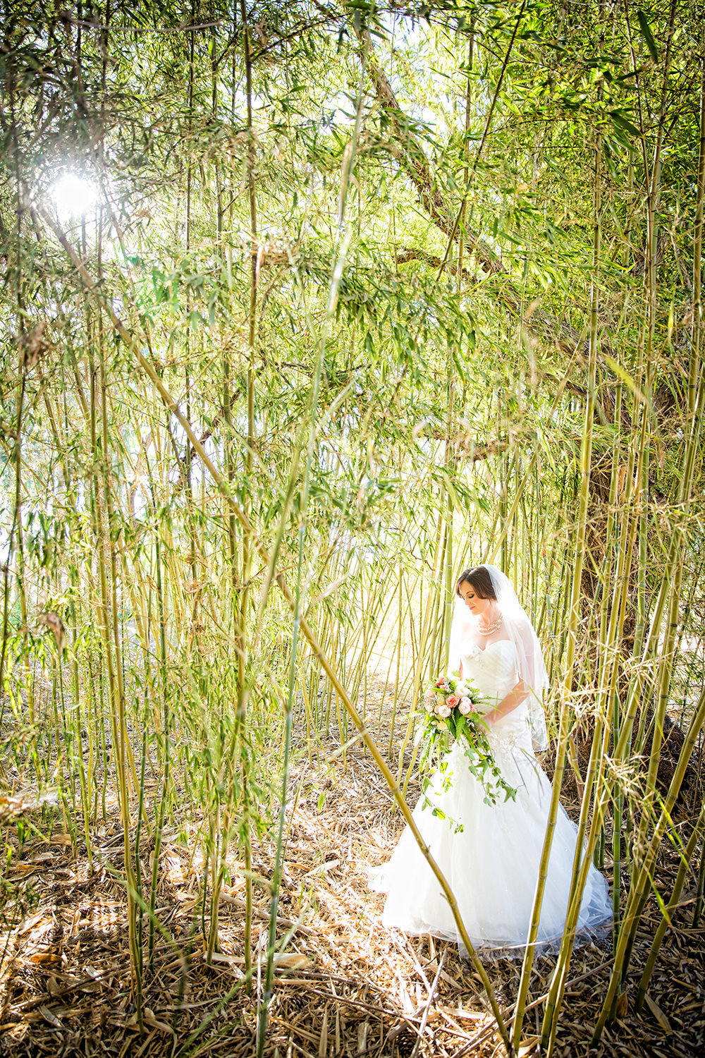bride in bamboo field