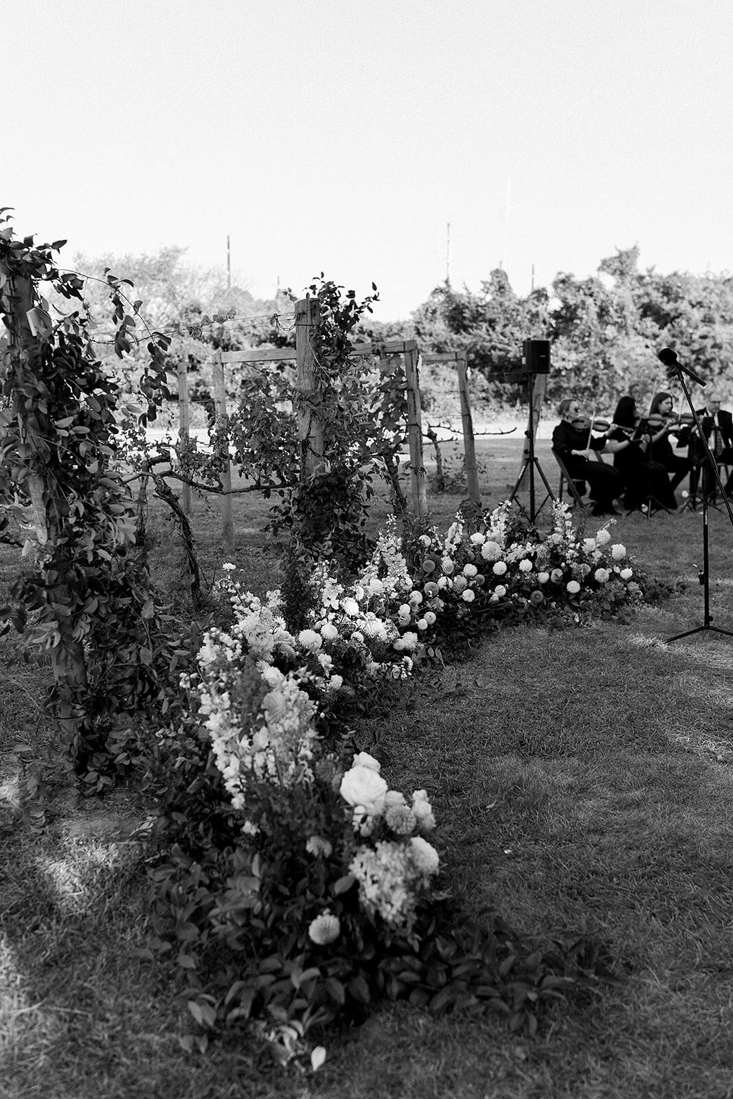 thistle_beck_-351