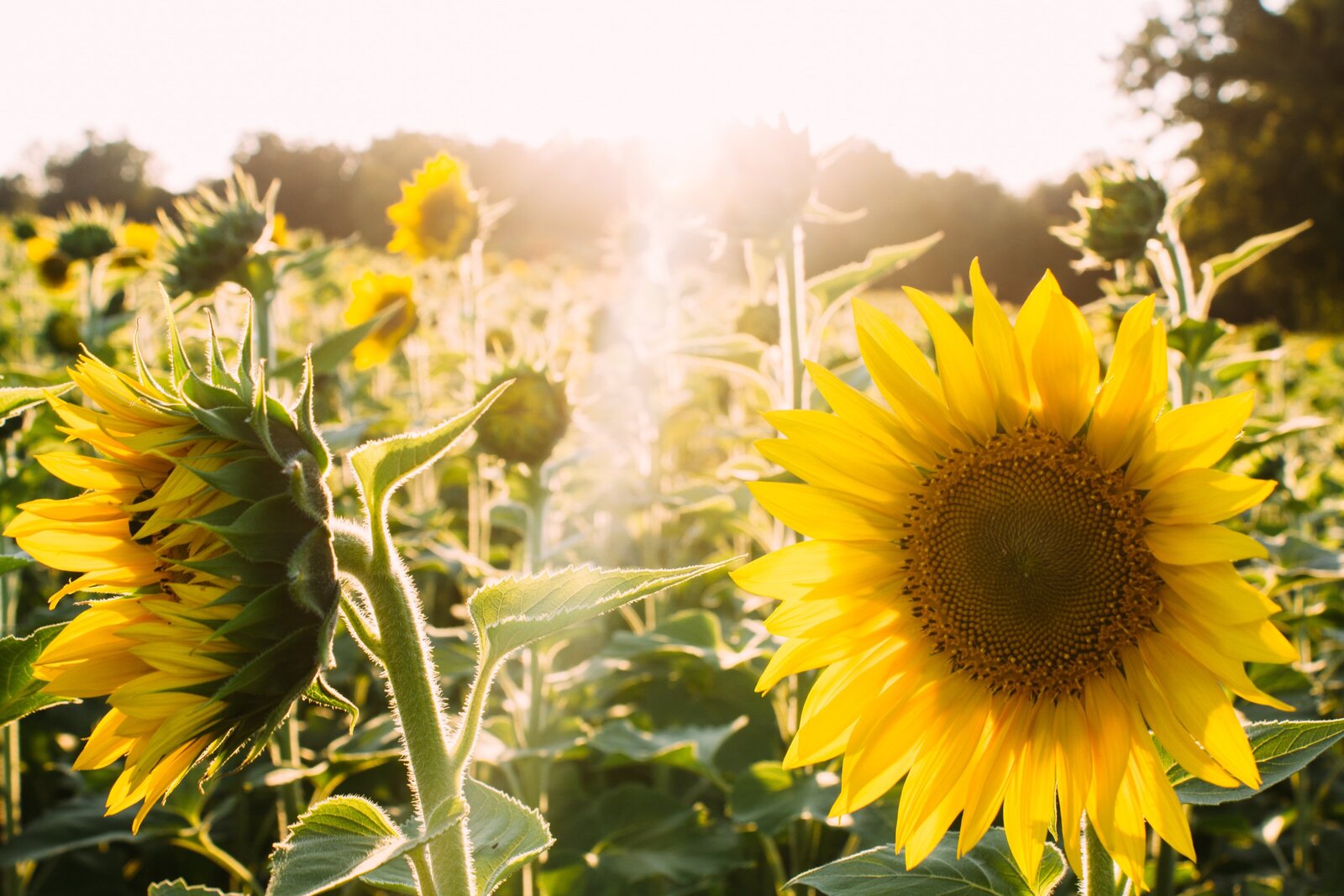 elijah-hail-29GUdIWrink-unsplash