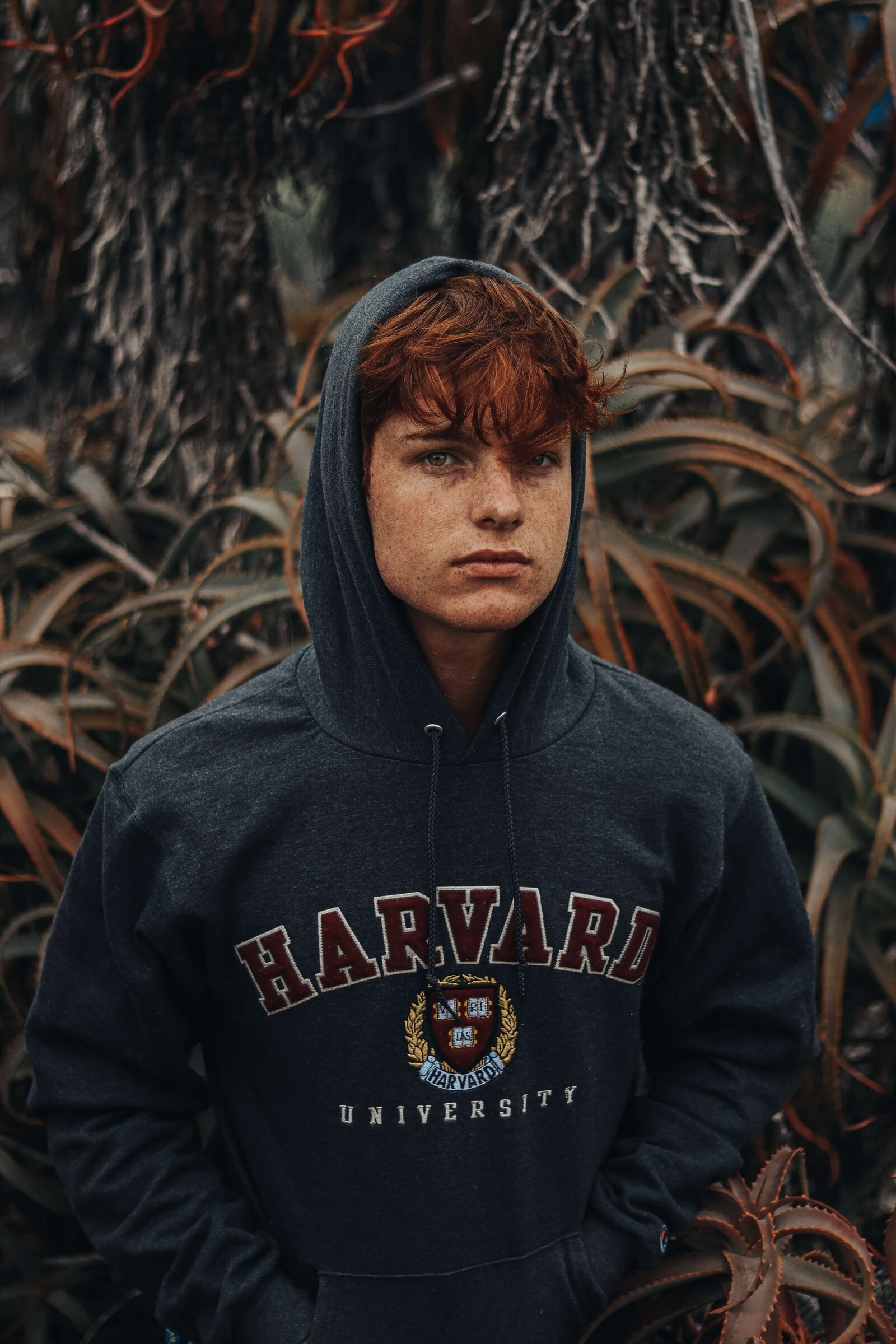 altin-ferreira-7Fxh8FXCa8Y-unsplash