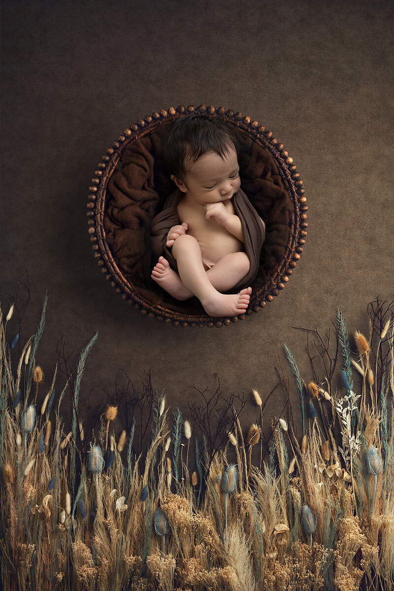 Newborn boy in basket, a Dallas newborn photographer.