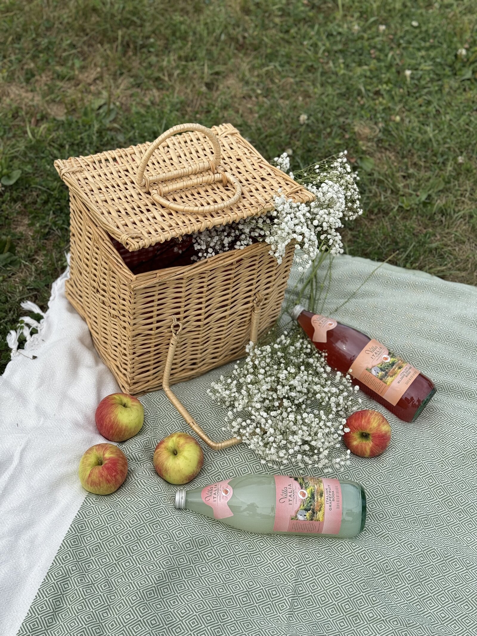 Alina Carter Showit Template Bitely Studio 1