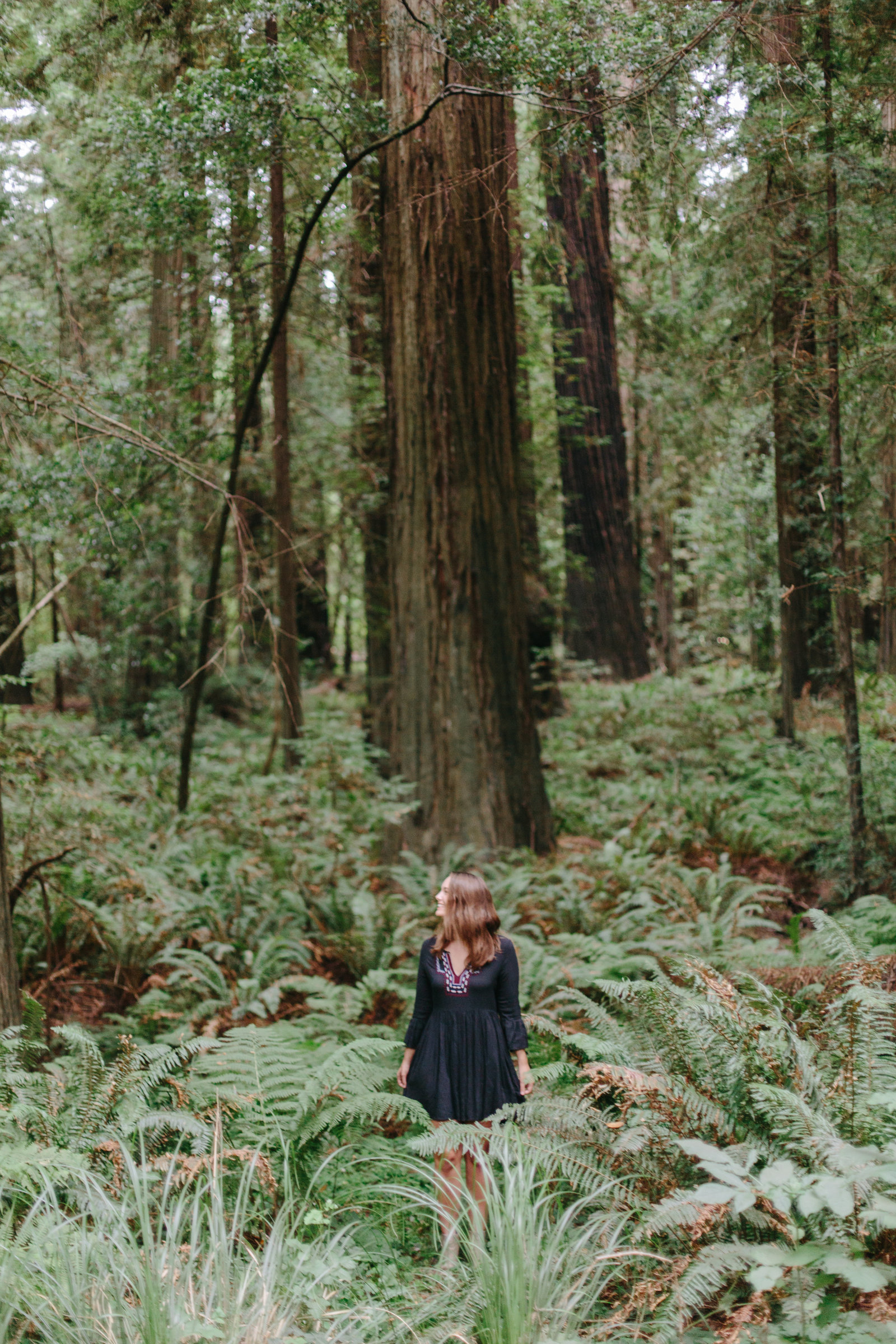 Redwood National Park Avenue of the Giants Engagement Session -7389