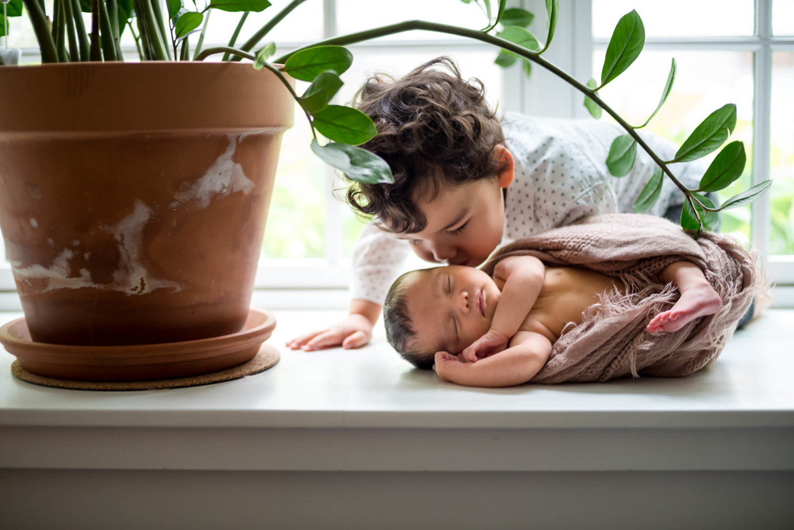 newborn posed on window will in home with sibling