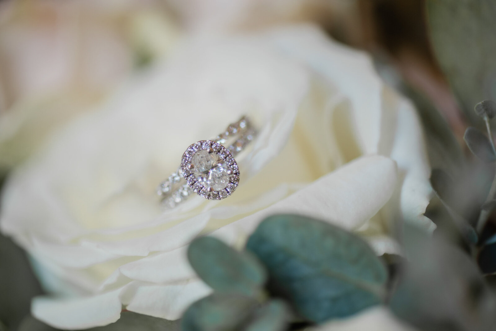 Chandler Oaks Wedding photos by Chabeli Woolsey Black Tie and Co-3