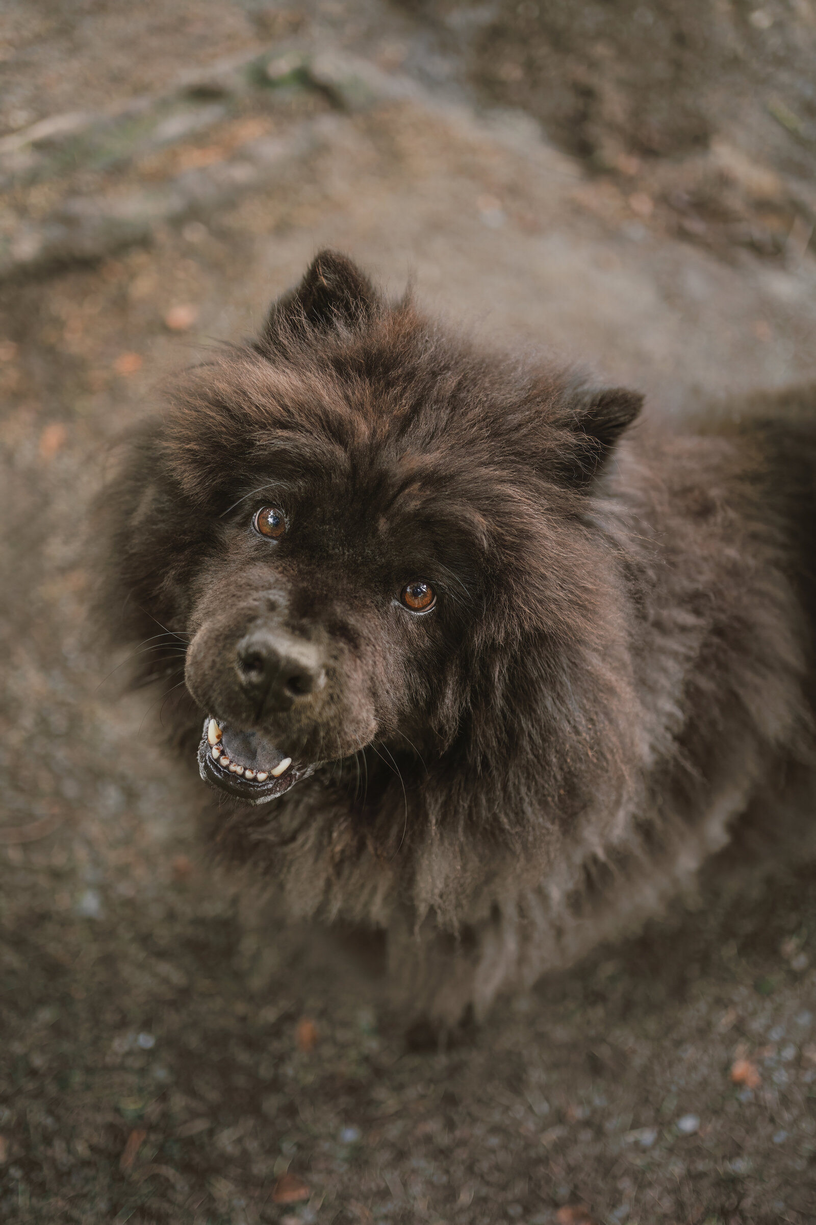 DSC03144 (Origineel, bewerkt)