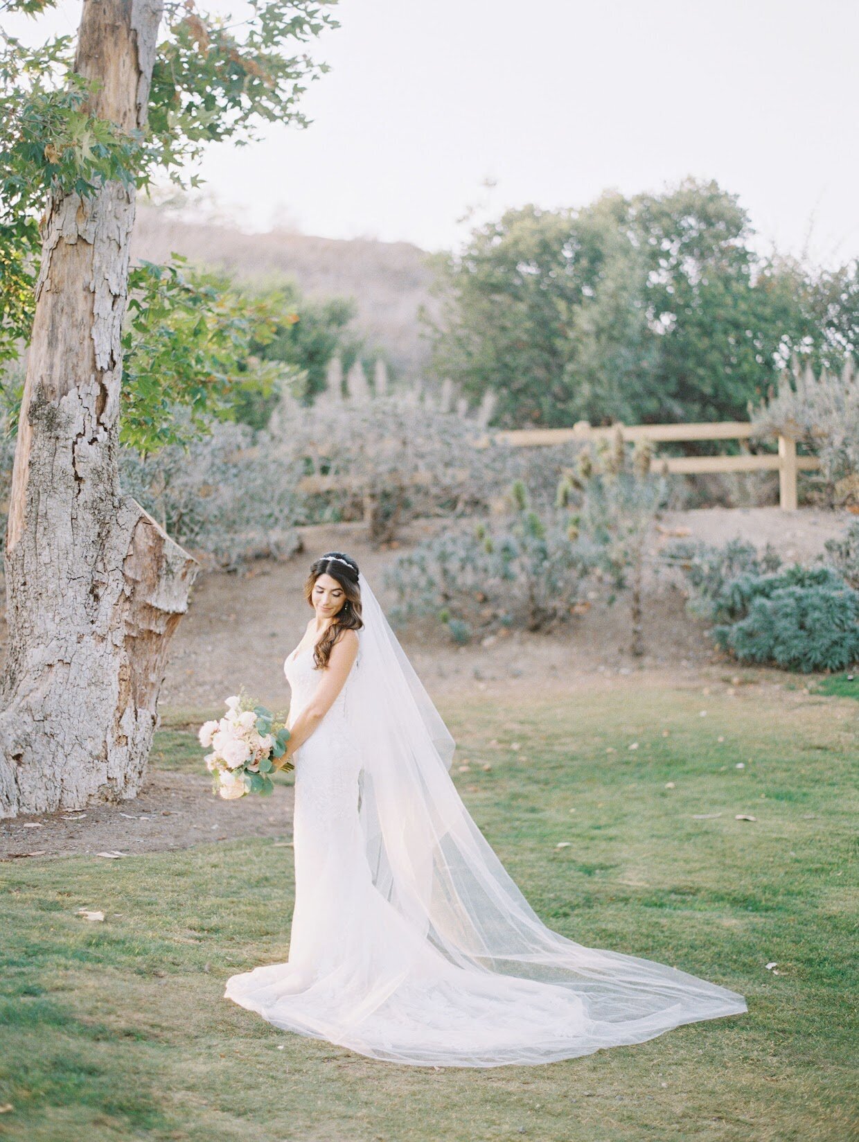 Amy-Golding-Photography-Wedding-KristinaArmhan-2021-Arroyo-Trabuco-345