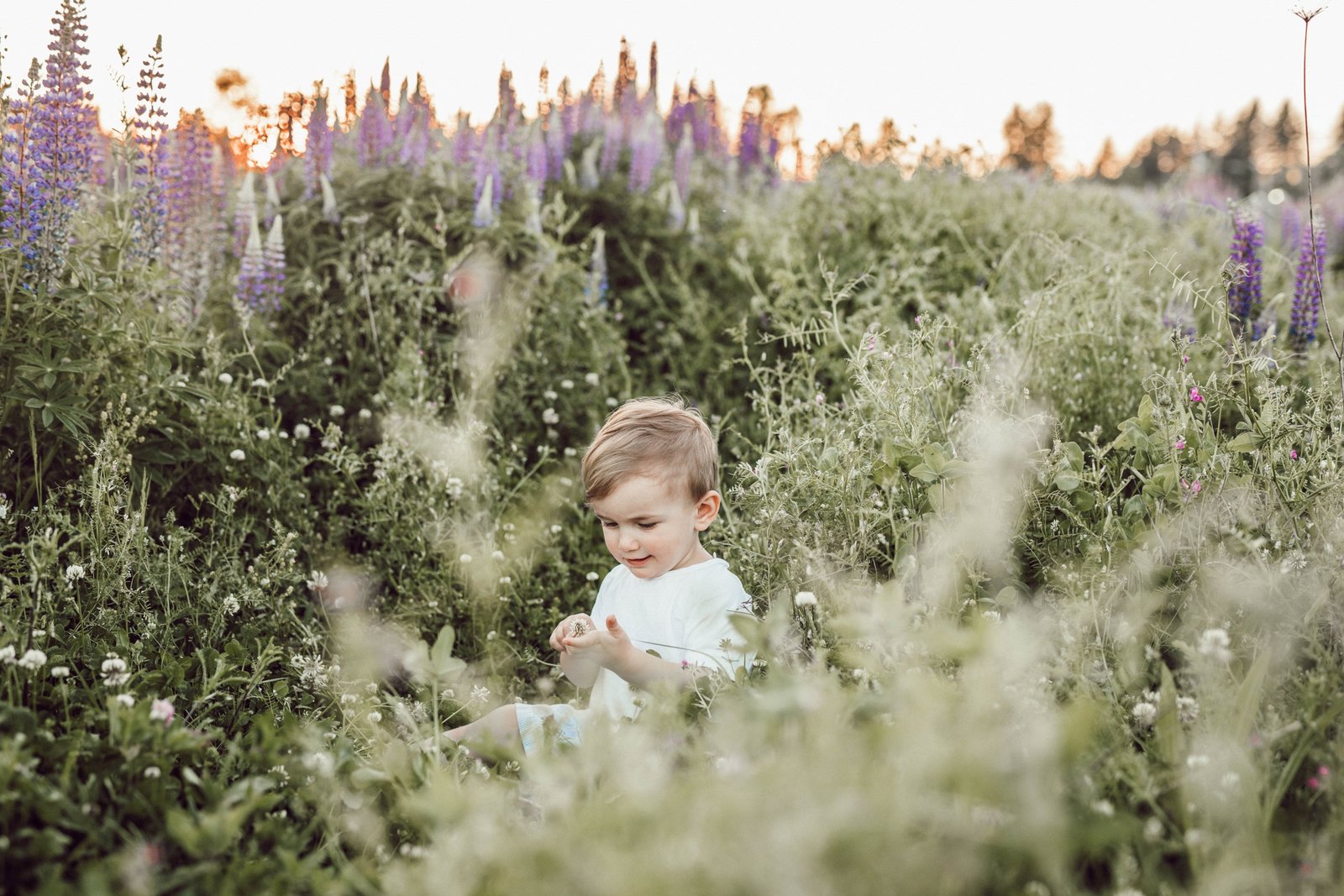 liana-mikah-665141-unsplash