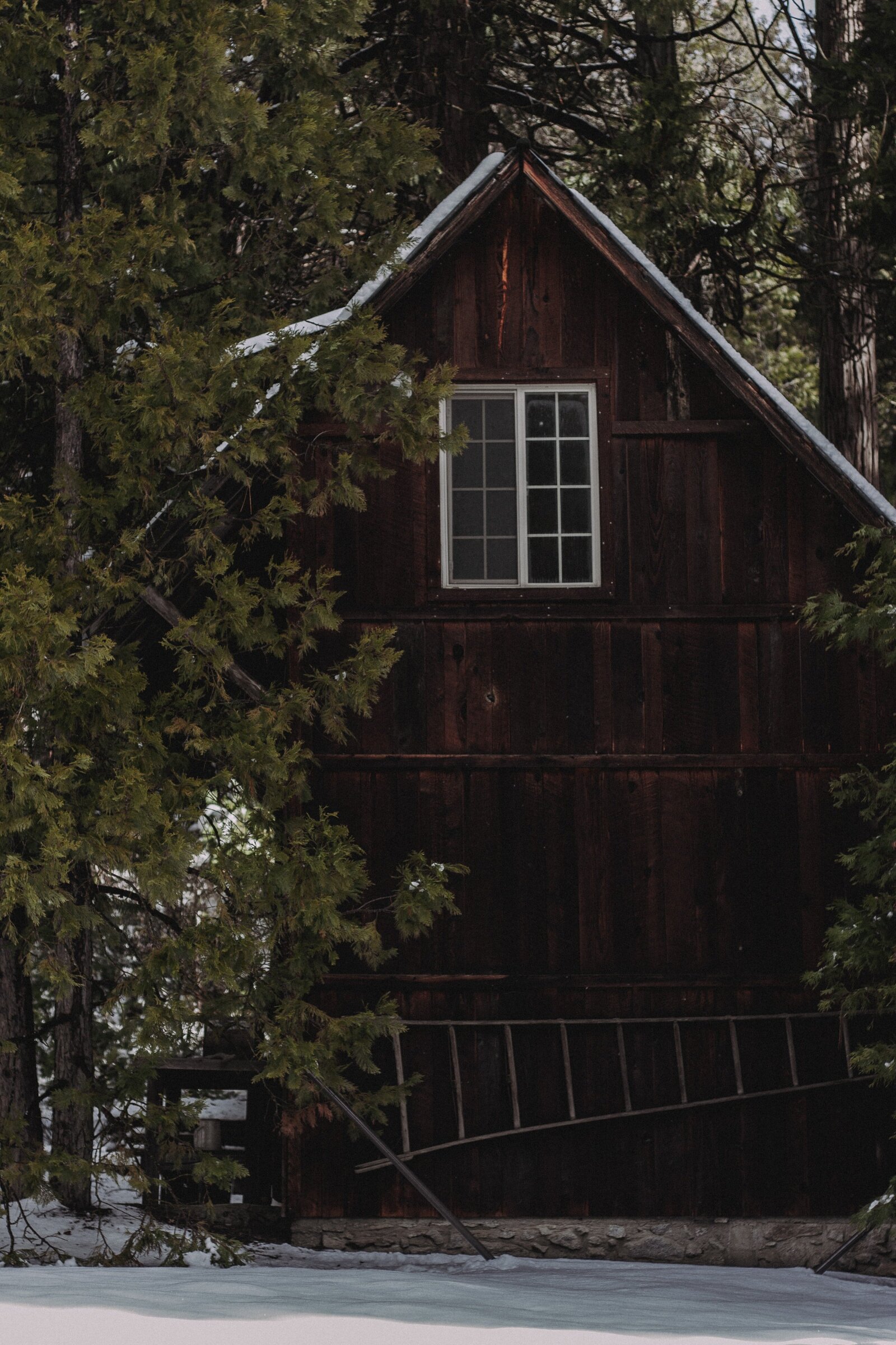 zach-lezniewicz-RgNVXoJF9UU-unsplash