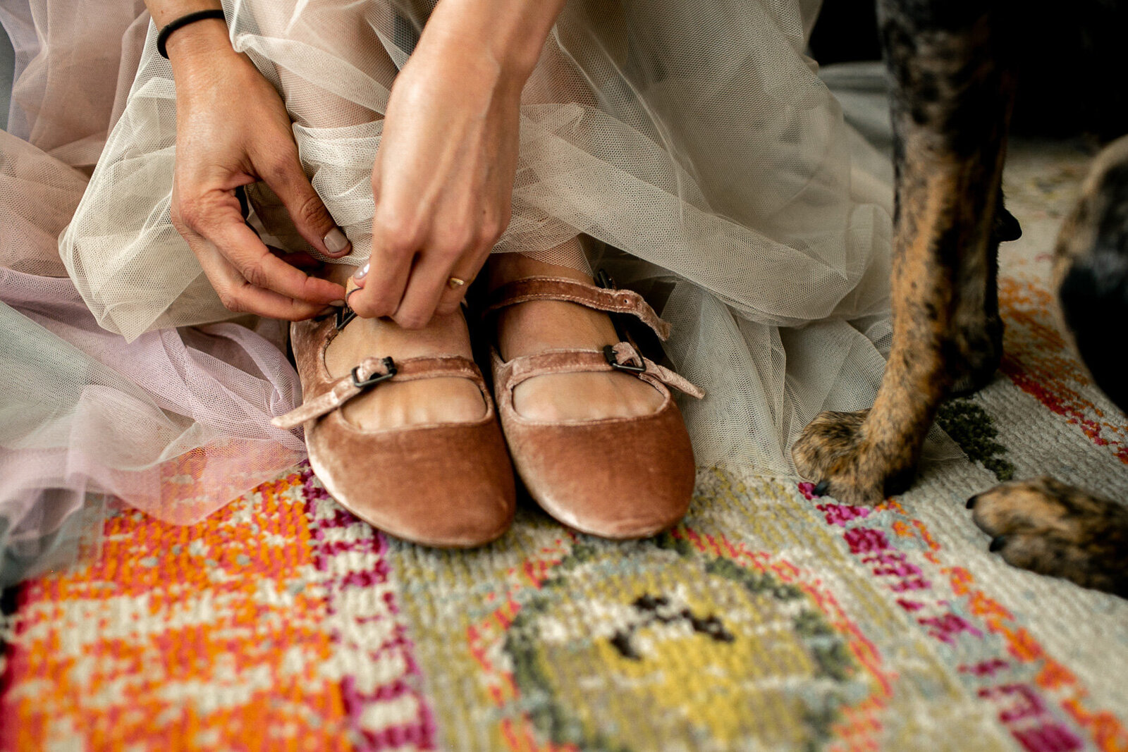 Bride putting on wedding shoes with dog