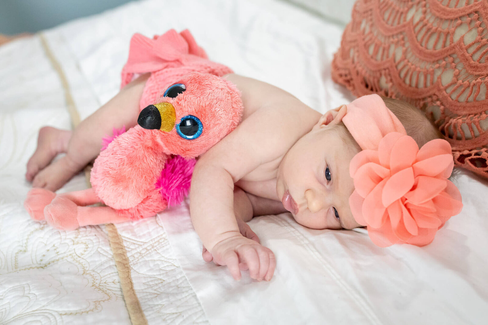 An Alexandria newborn photography session of a baby girl in pink snuggling a pink flamingo stuffed animal.