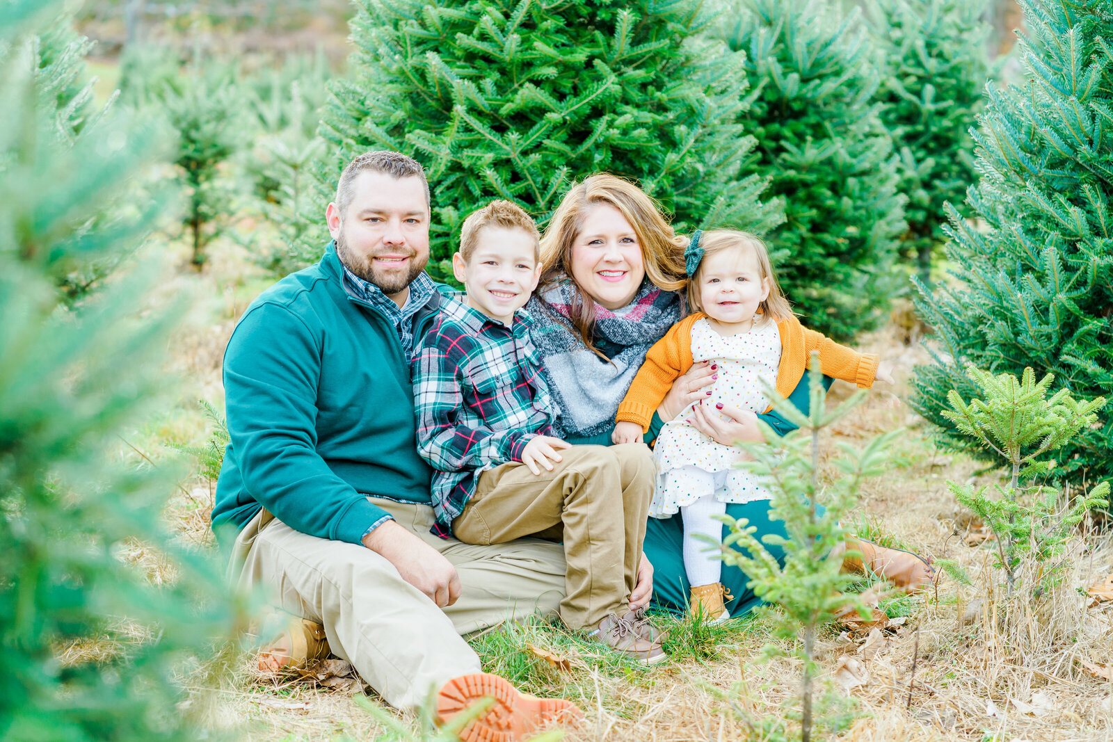 New Hampshire family photo in tree farm