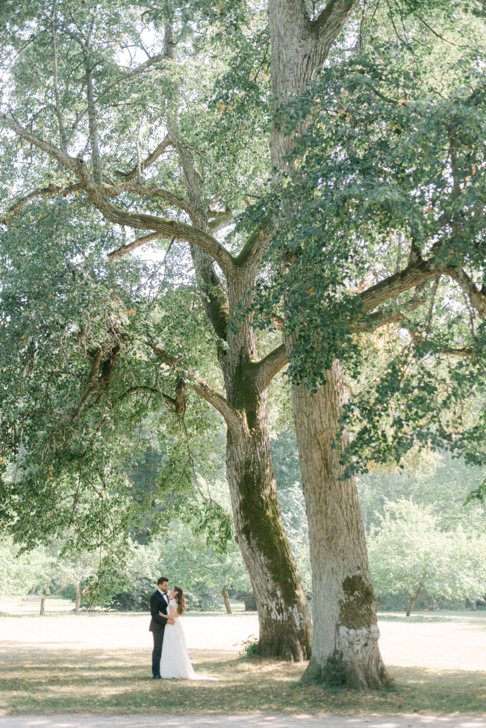 Wedding couple standing under a big oak in a park. Image photographed by wedding photographer Hannika Gabrielsson.