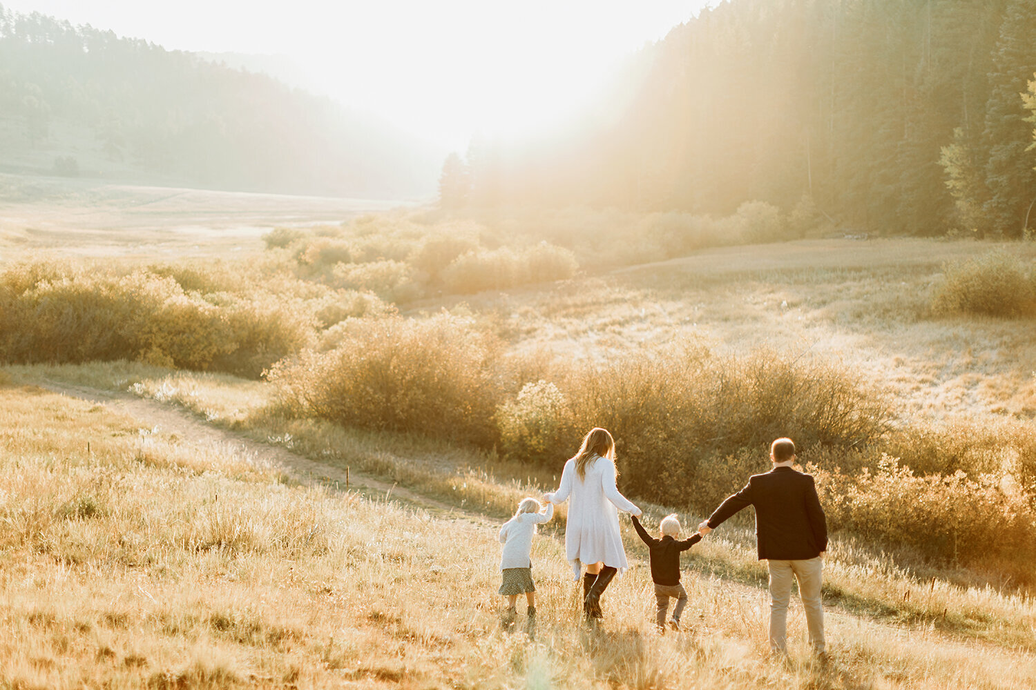 Family Photographer, family of 4 walking through a field