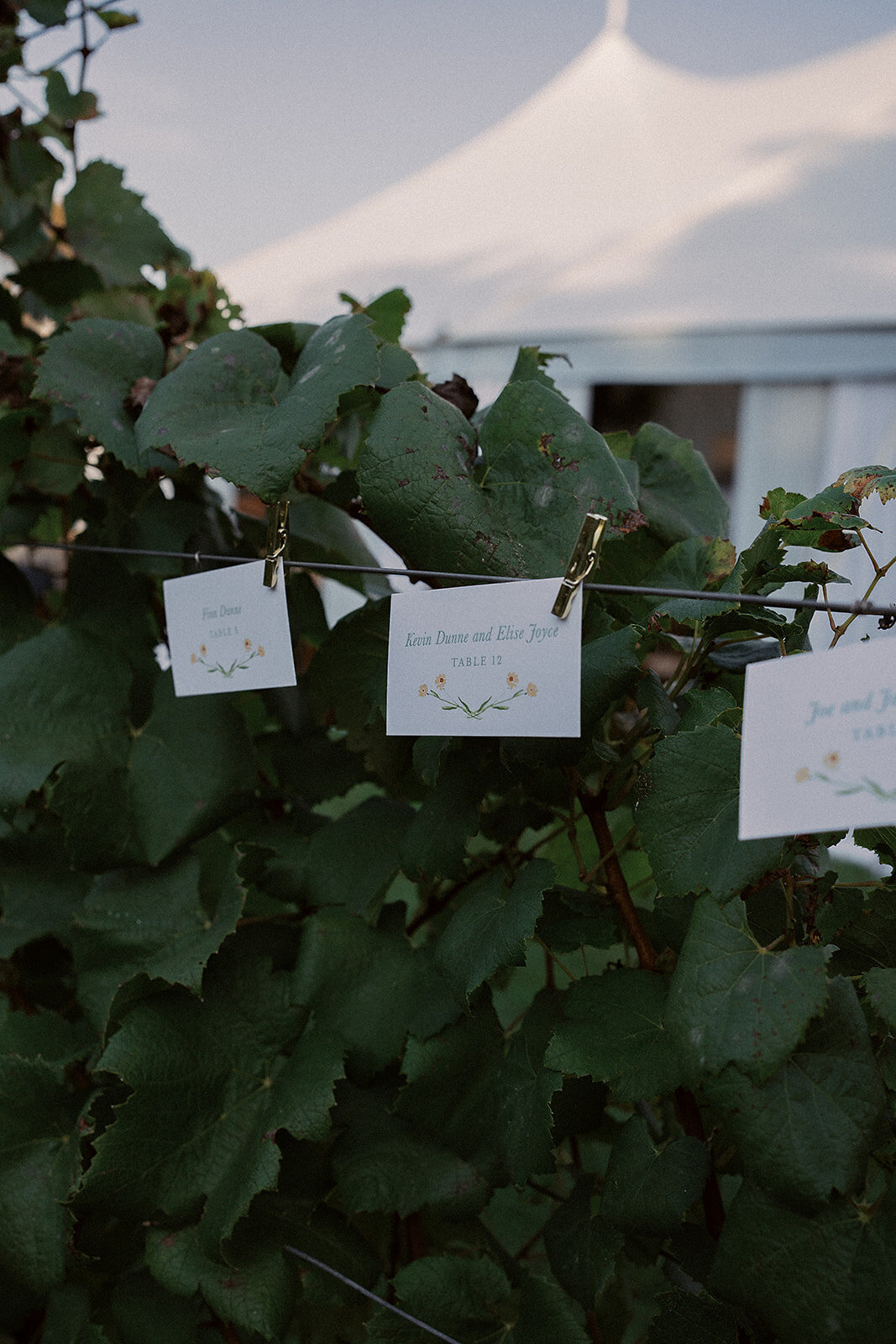 thistle_beck_-723