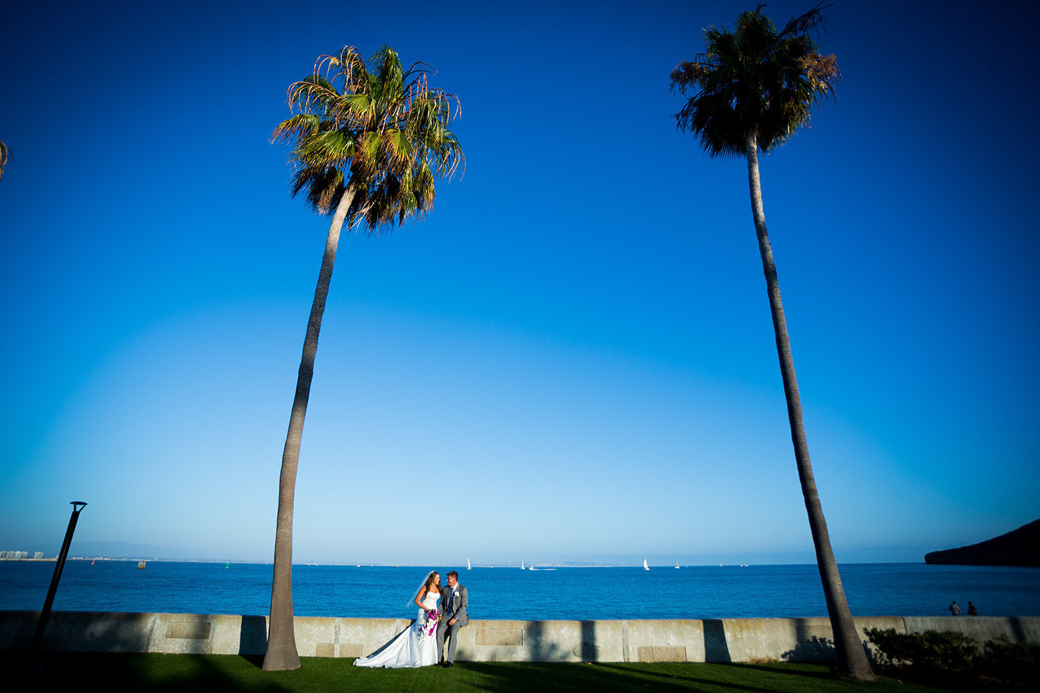 bride and groom with palm trees at ocean view room