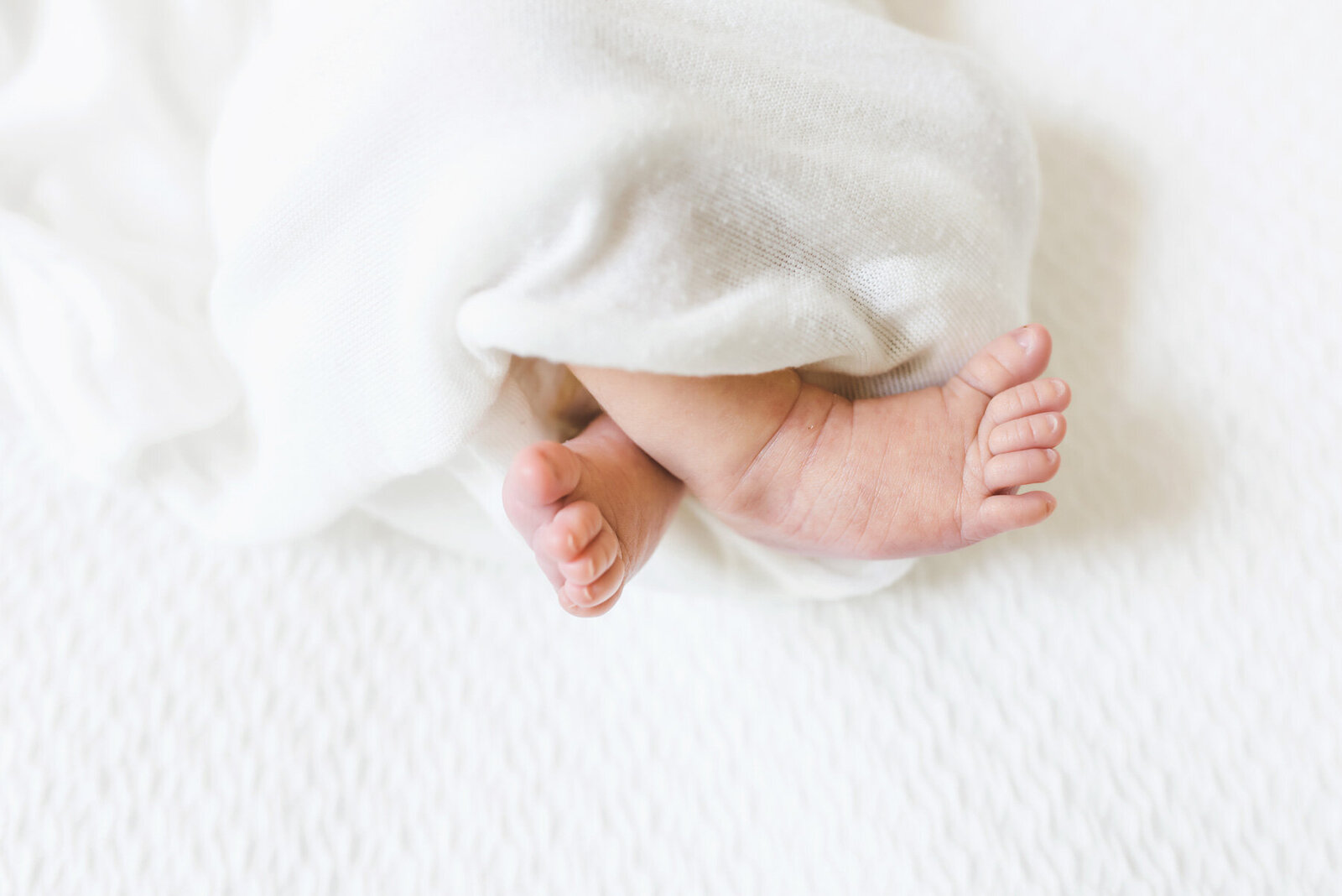 Newborn by Anna Wisjo Photography
