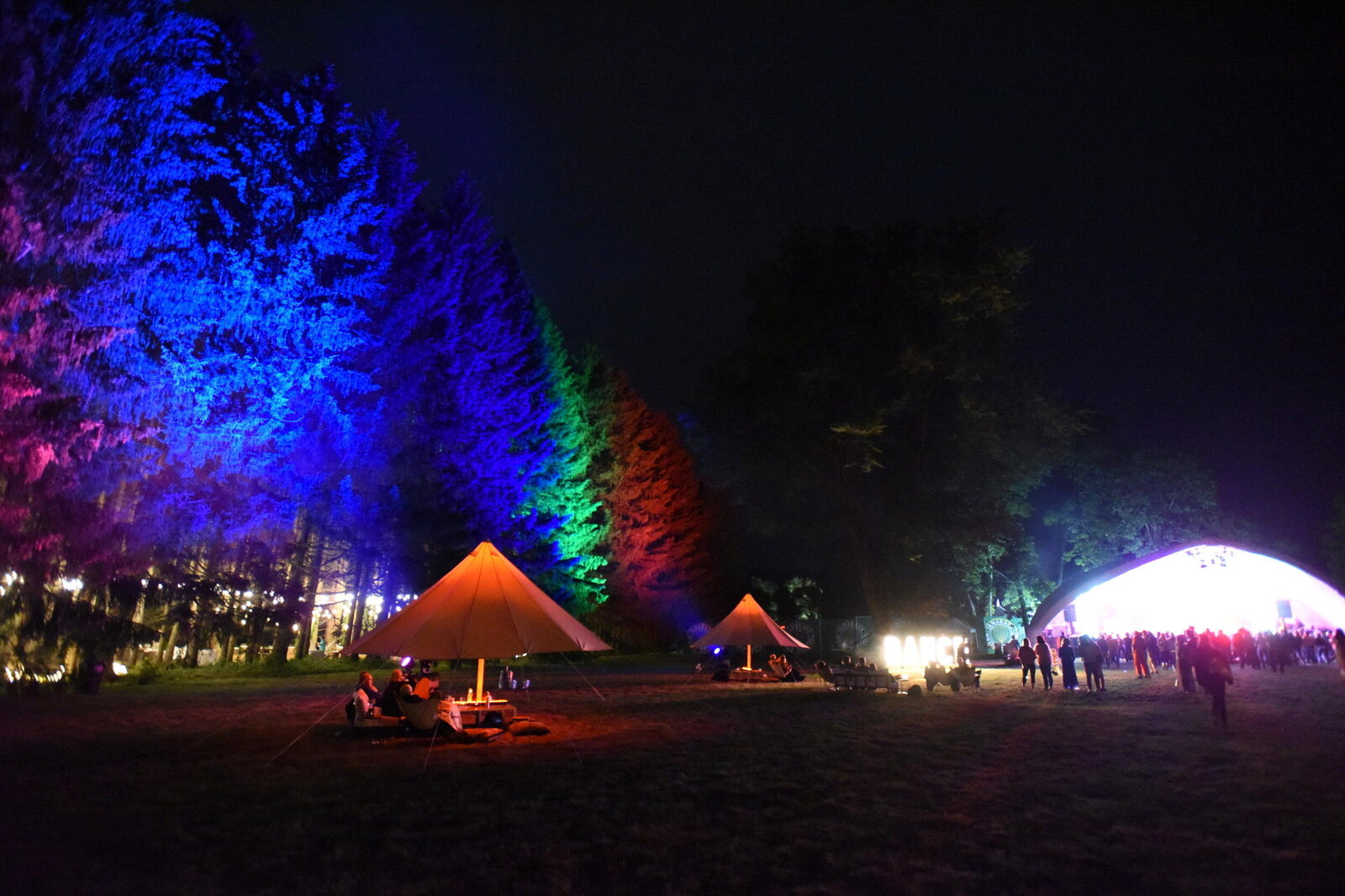 DSC_3893 (2)