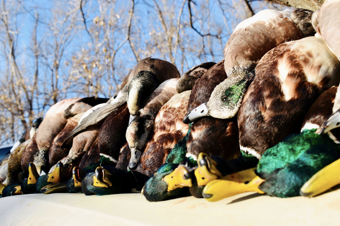 Screenshot 2024-02-05 at 8.13.26 PM