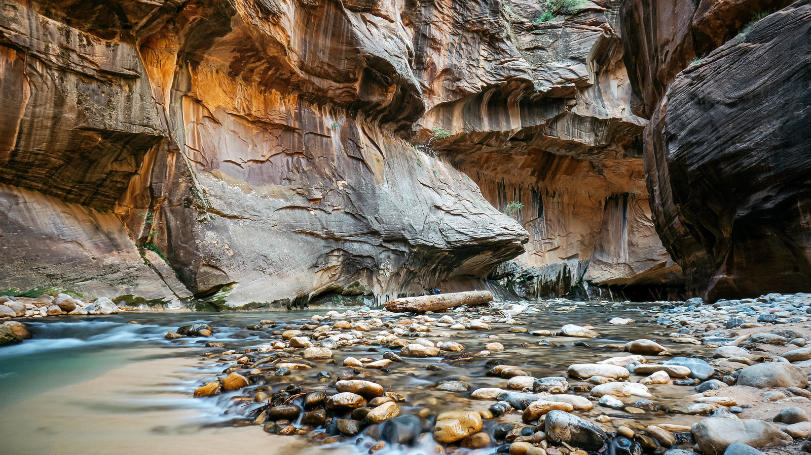 Sasha_Reiko_Photography_Travel_Utah_Arches_Canyon_Lands_Zion_Grand_Canyon-55