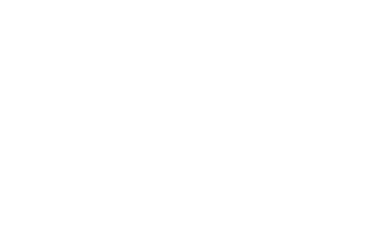 100 Black Men