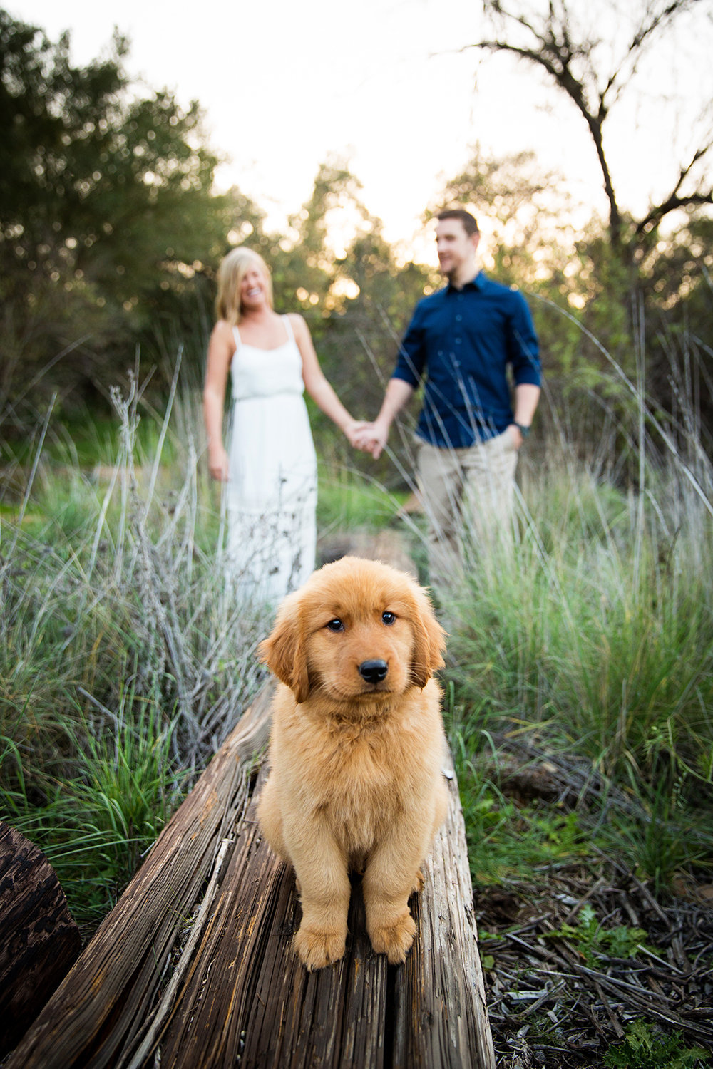 Mission Trails engagement photos cute dog with couple