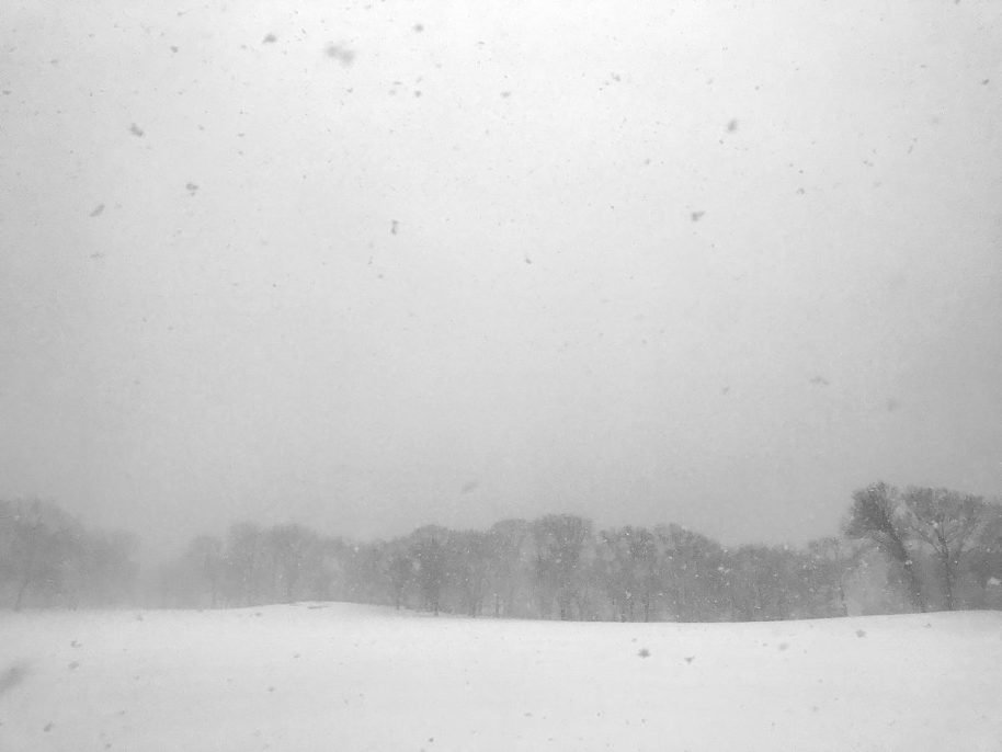 nyc-snow-photos-01