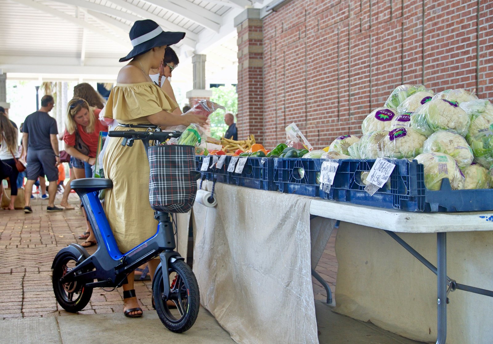 Blue Go-Bike M3 at farmers market