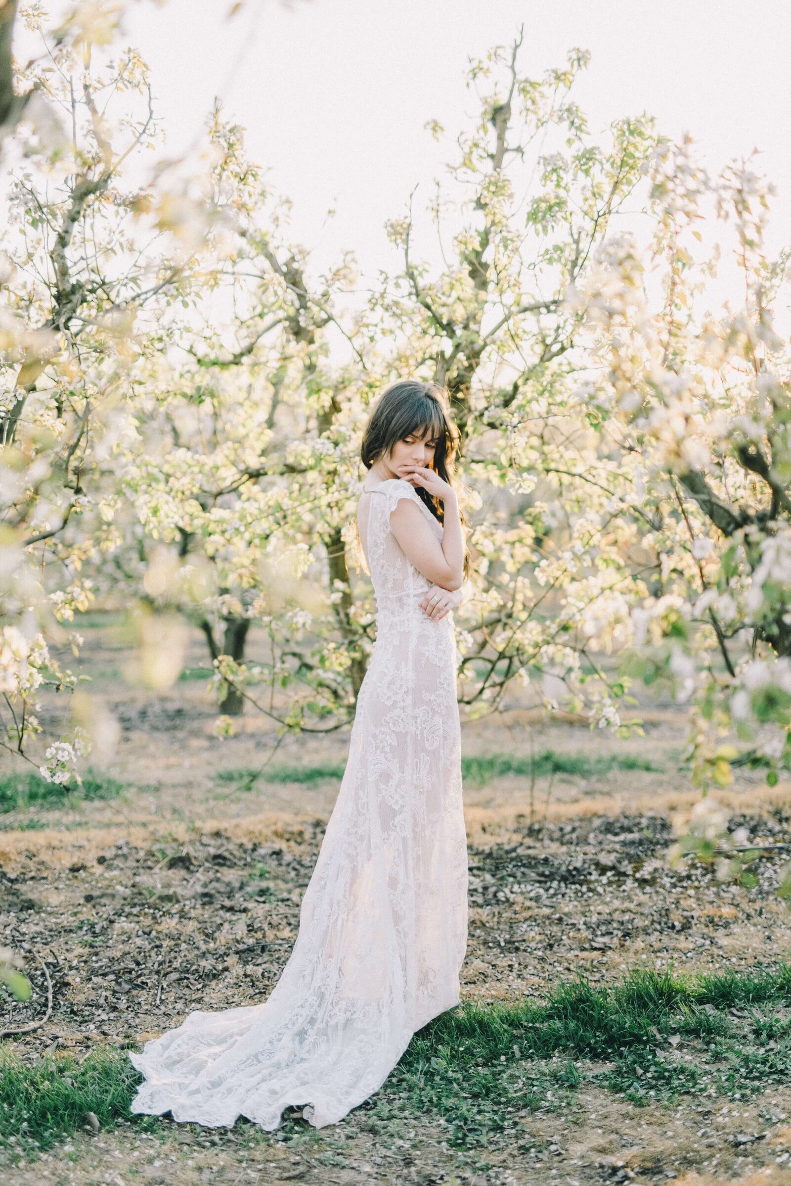 Wedding-dress-bridal-gown-store-website-template-Showit-pexels-leeloo-thefirst-4621950