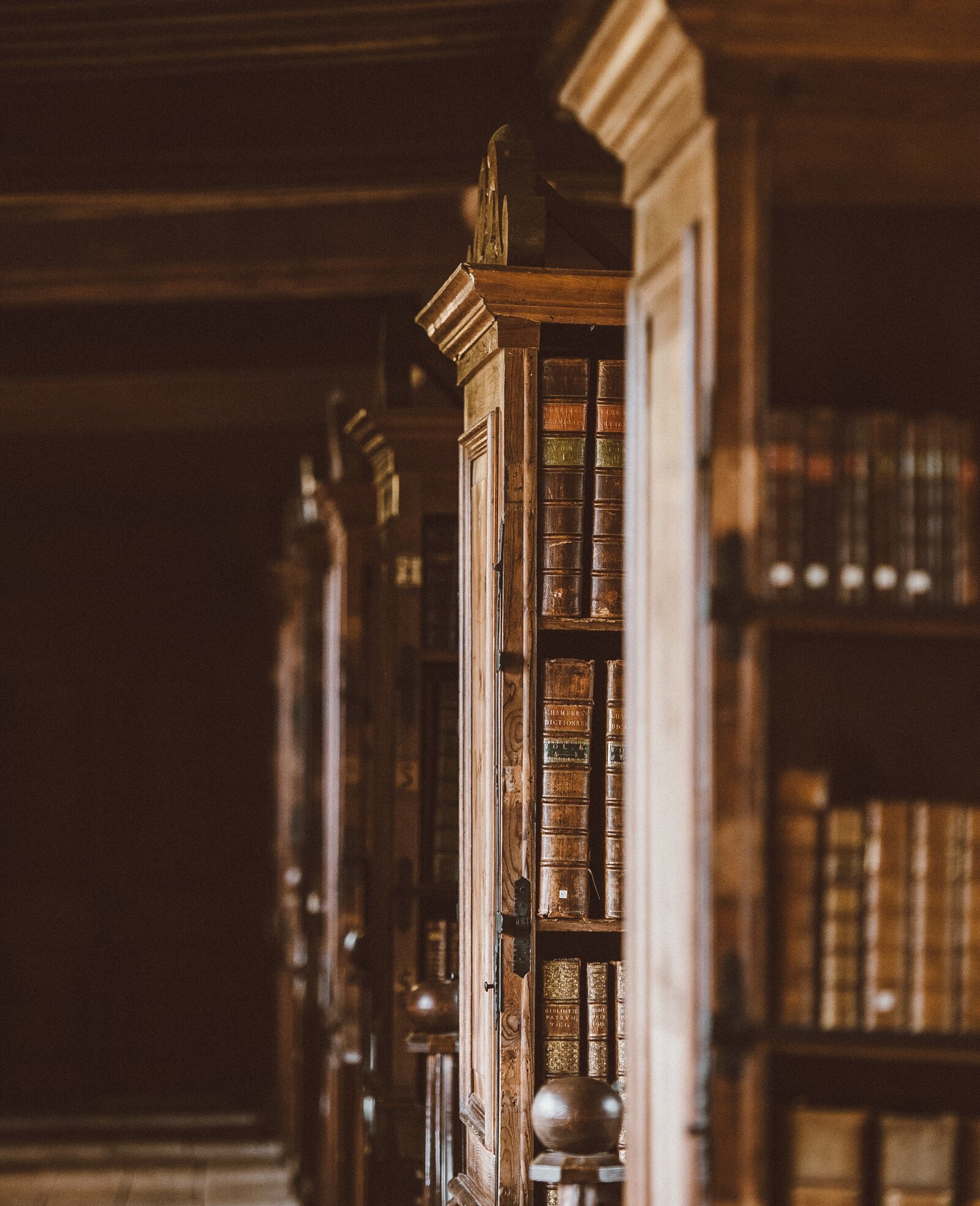 annie-spratt-A-G8FsDDQC0-unsplash