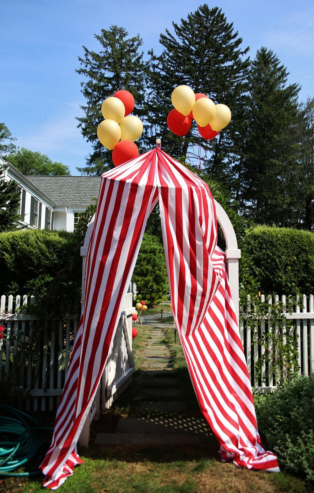 ct_party_planner_circus_birthday_0032