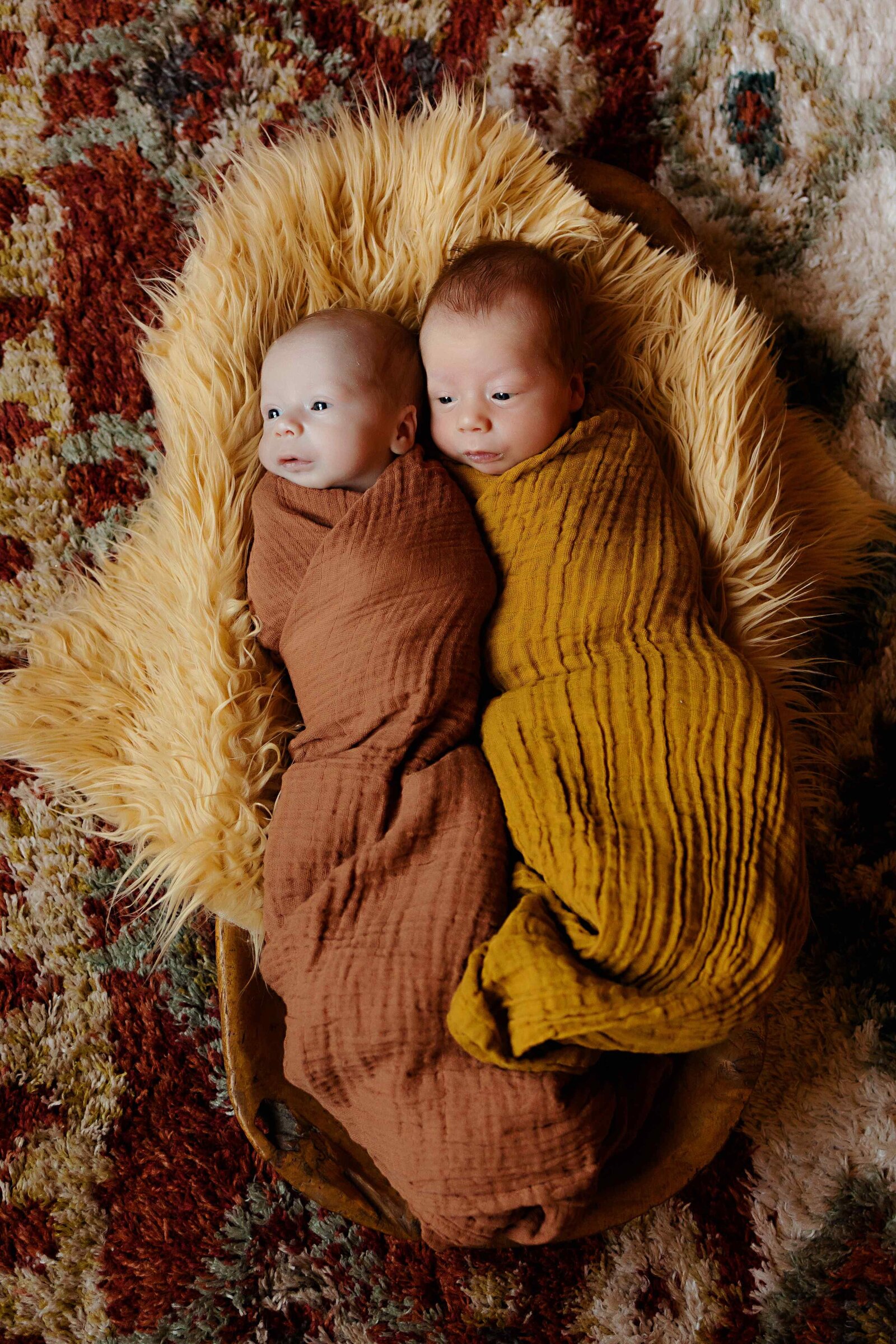newborn-twin-portraits-photographer-central-virginia