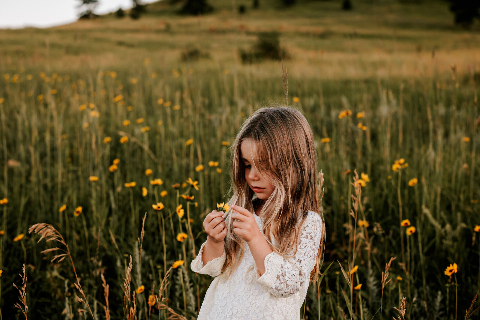 small girl holding tiny flowers in boulder colorado