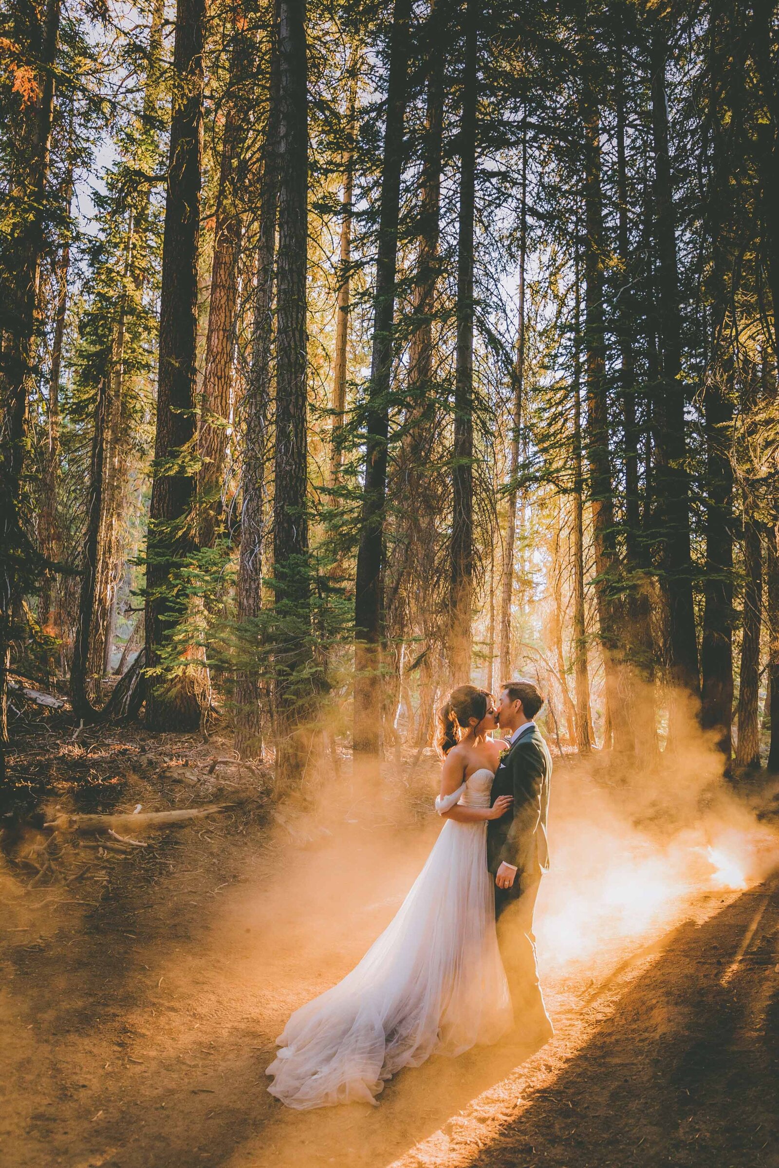 A couple kisses surrounded by sunrays in a Yosemite National Park forest.