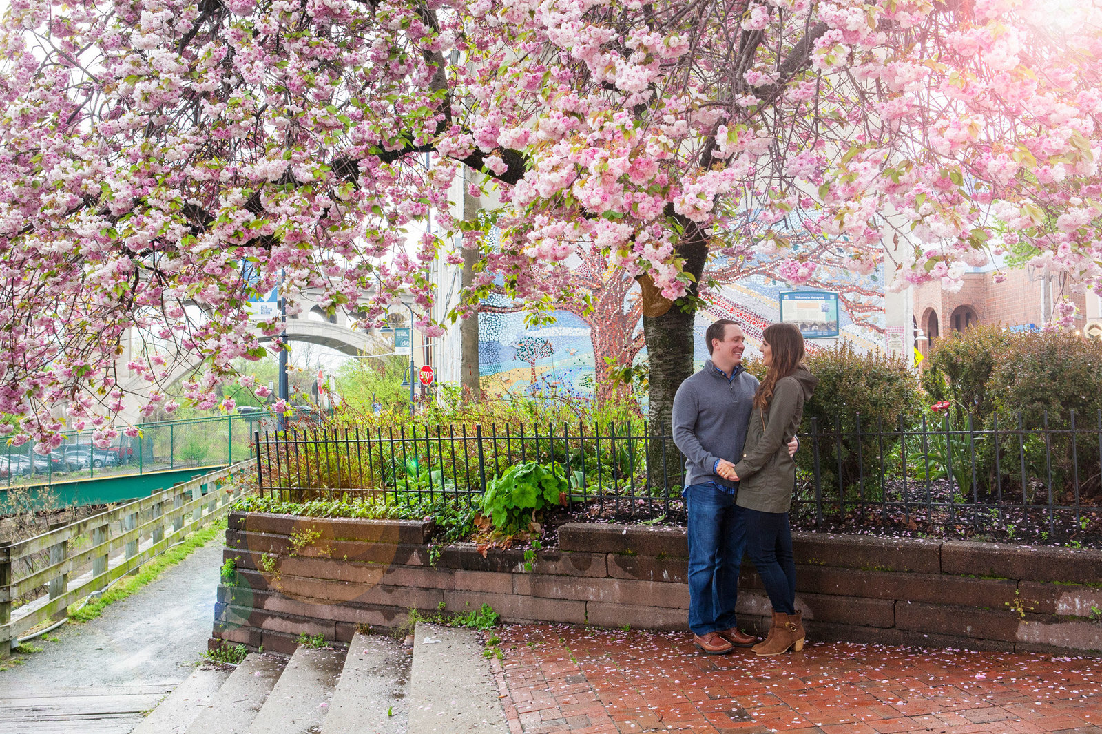Engaged couple under cherry blossom tree