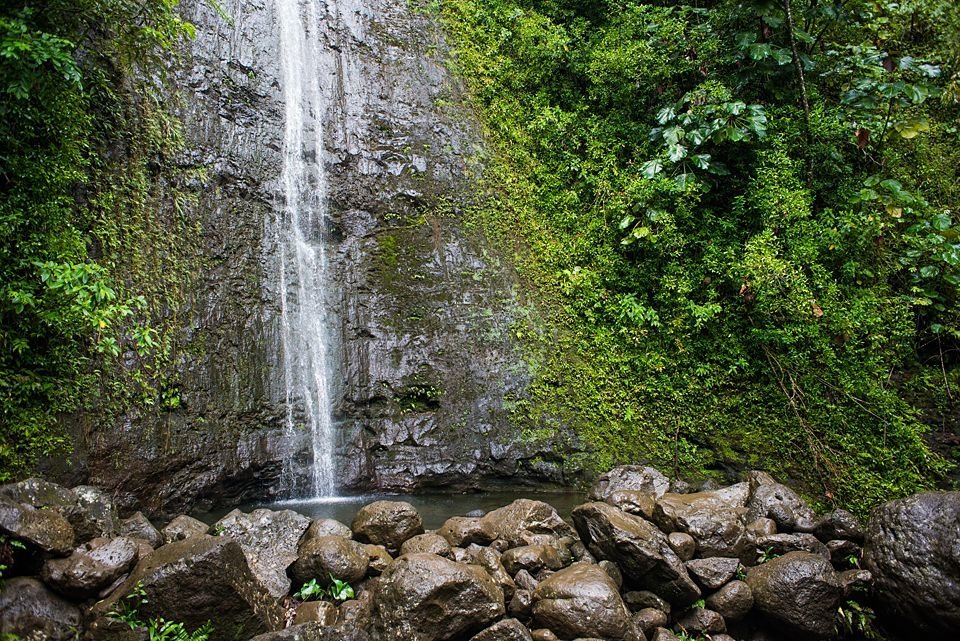 The Manoa Falls hiking trail ends in a beautiful tropical waterfall